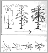 создатель красоту»7